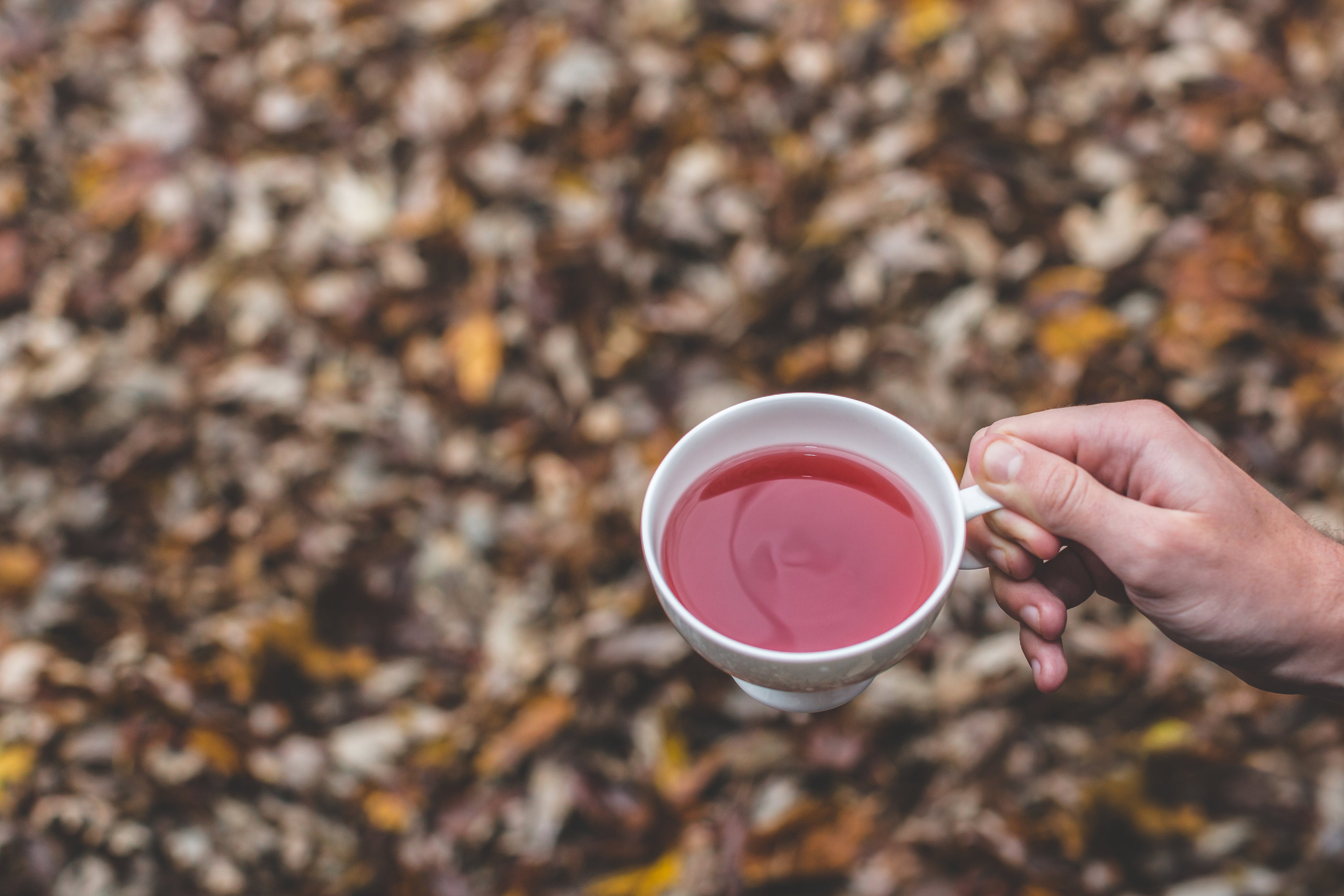 a soothing cup of tea